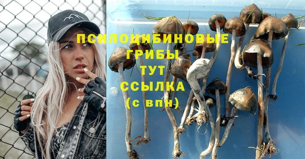 героин Ладушкин