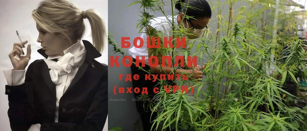 PSILOCYBIN Кукмор