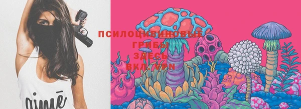 прущая мука Лабытнанги