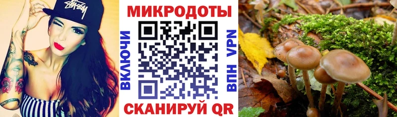 где купить наркоту  Льгов  Галлюциногенные грибы Magic Shrooms 