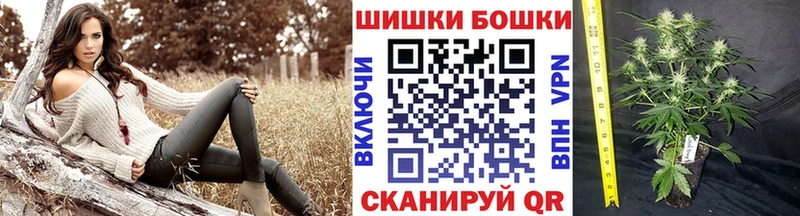 shop какой сайт  Льгов  Марихуана SATIVA & INDICA 